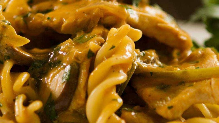 Chicken Strogonoff with pasta recipe