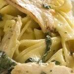 Chicken fettucine-alfredo