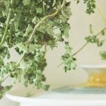 how to dry your own oregano
