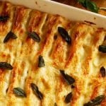 Chicken Cannelloni Recipe