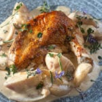 French Chicken in shallot cream sauce