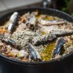 Healthy dog food