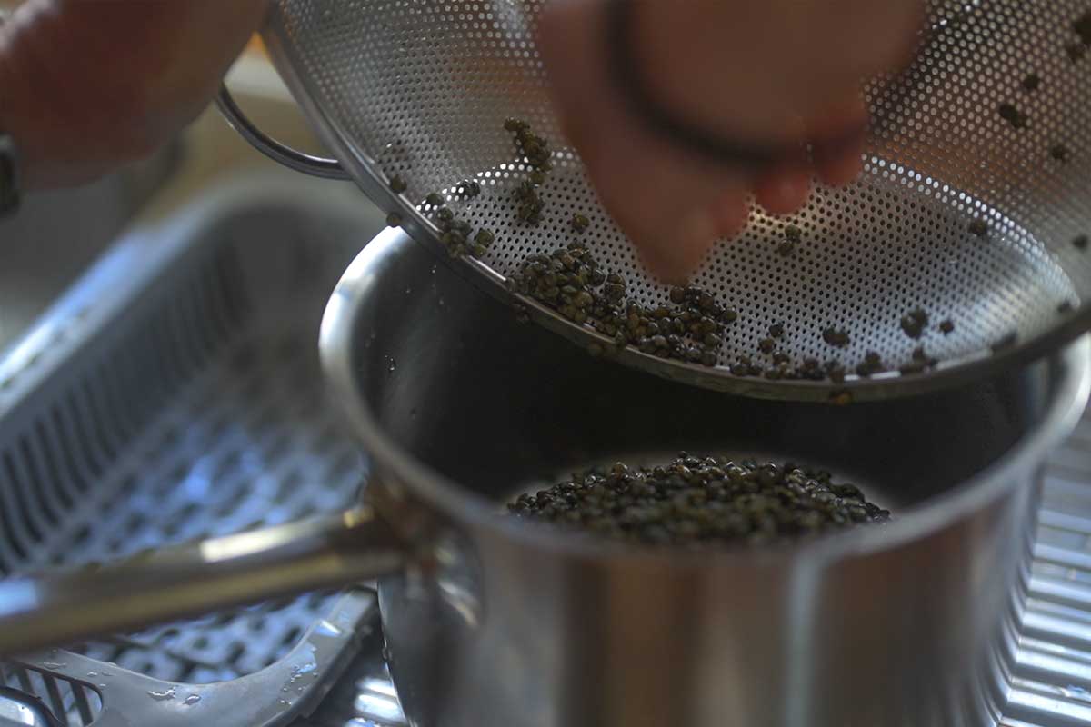 Rinsed French lentils going into the saucepan with the bay leaf