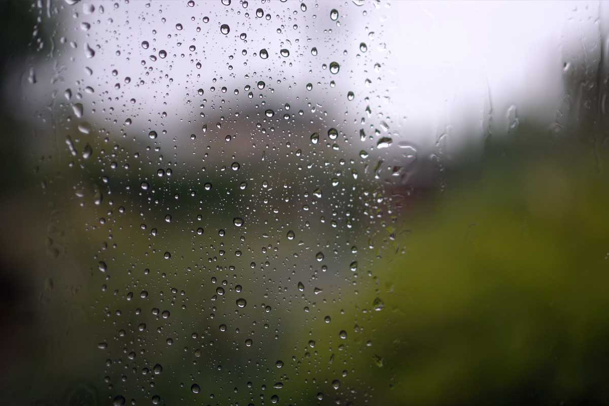 Garlic Soup on a rainy day