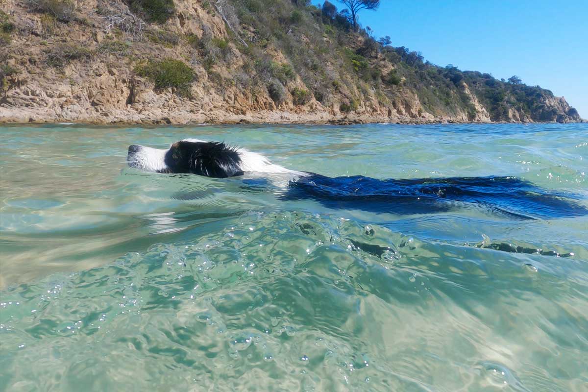 Kenji at Mount Martha Beach
