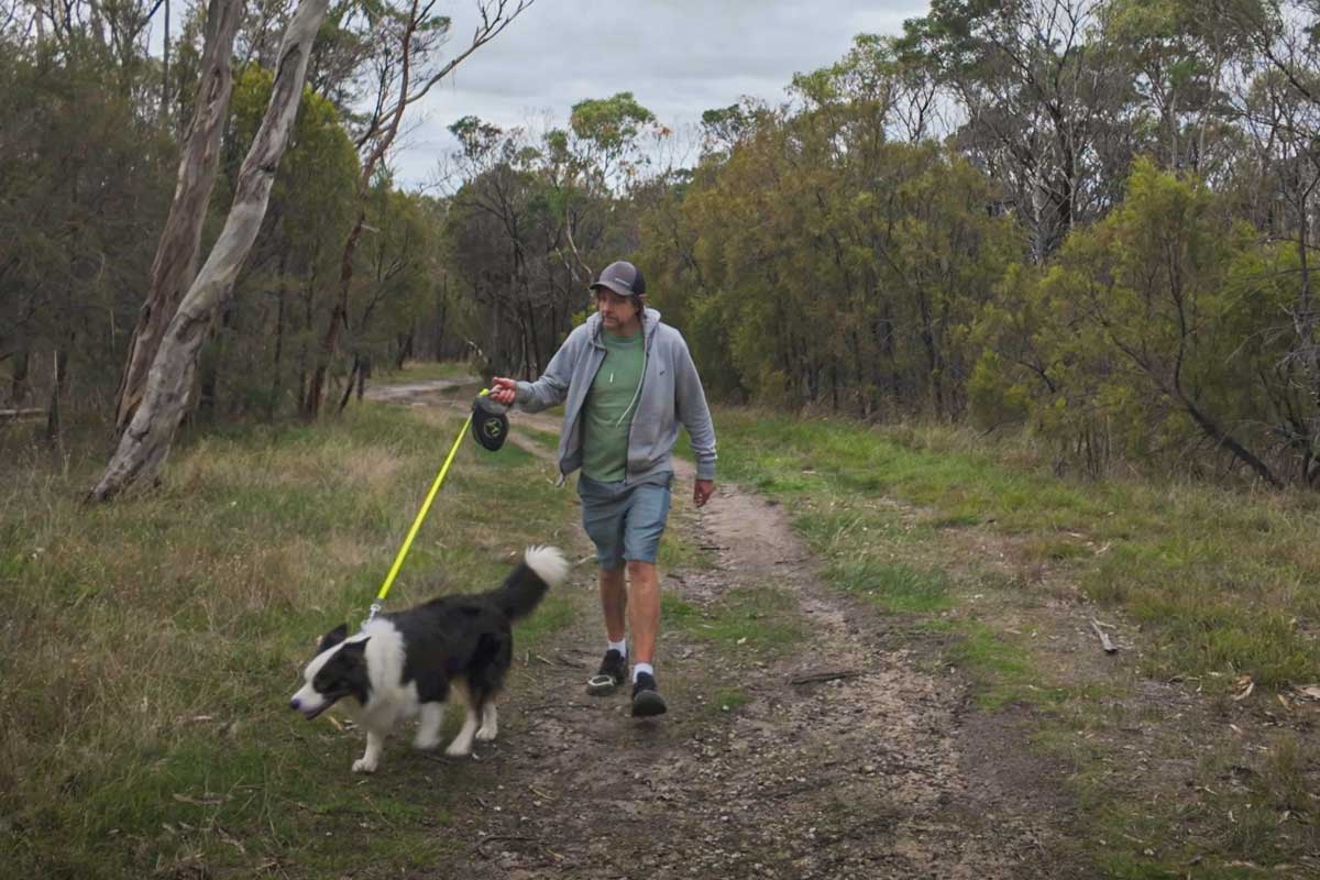 The Aussie Bush Walk